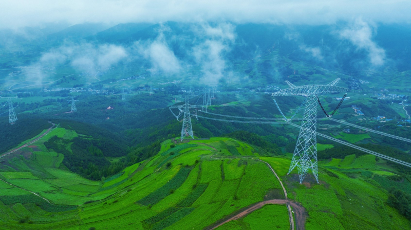 國家電網(wǎng)與東方電氣集團(tuán)舉行會談